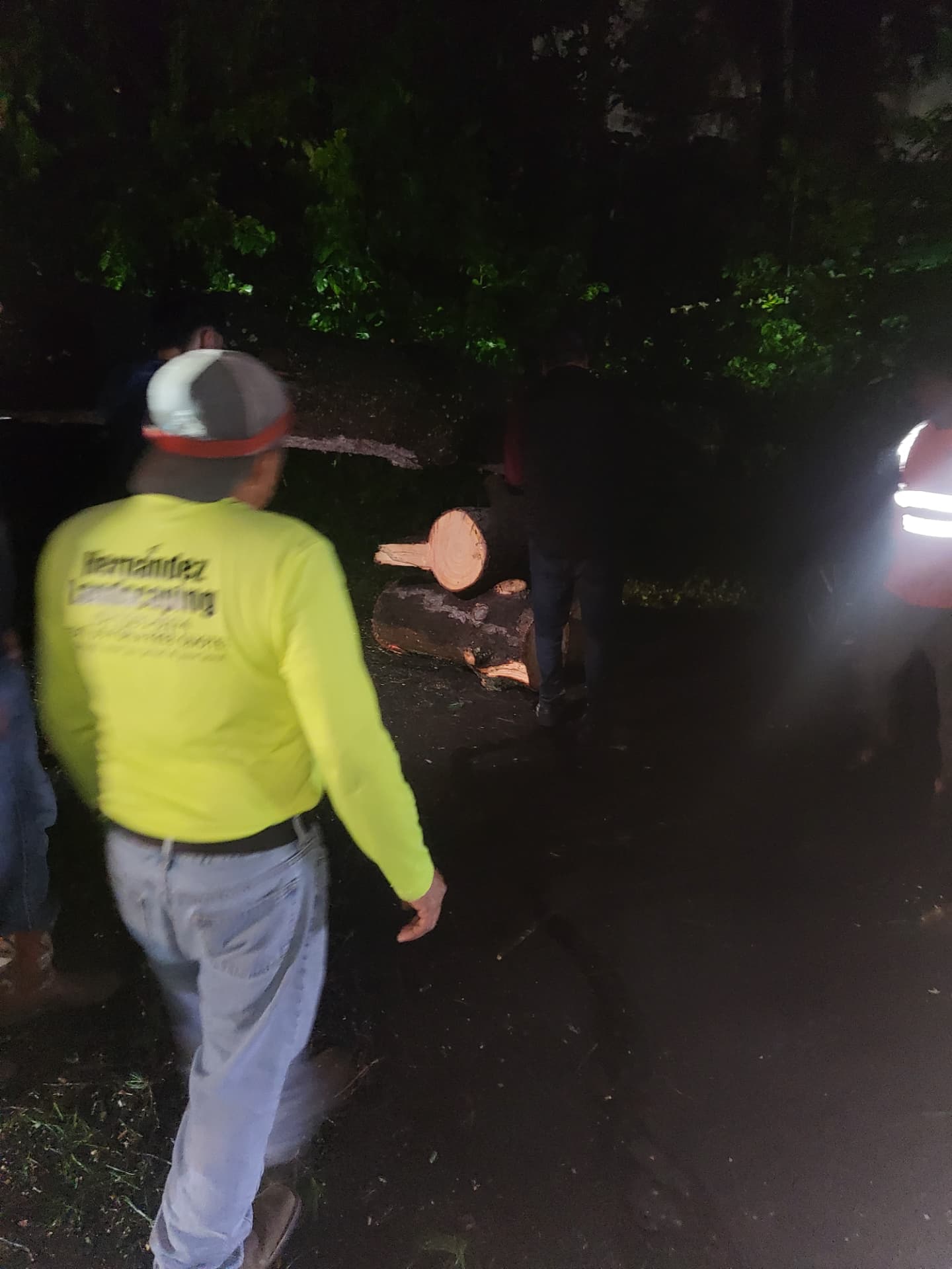 Neighbors moving cut sections out of the way