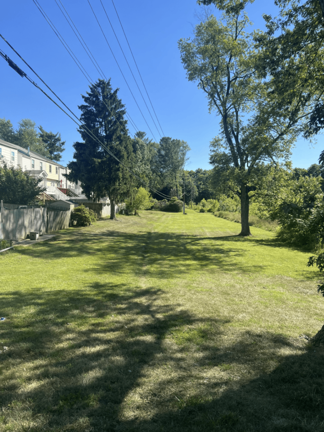 Common Green Space
