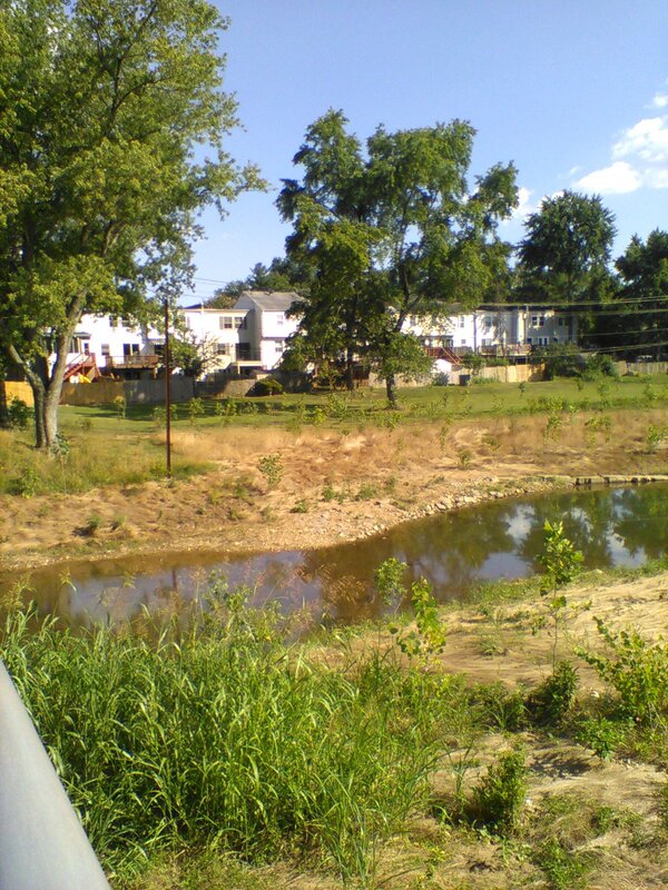 300 Block Shenandoah Creek Project, summer 2019 to summer 2020 — photo 3