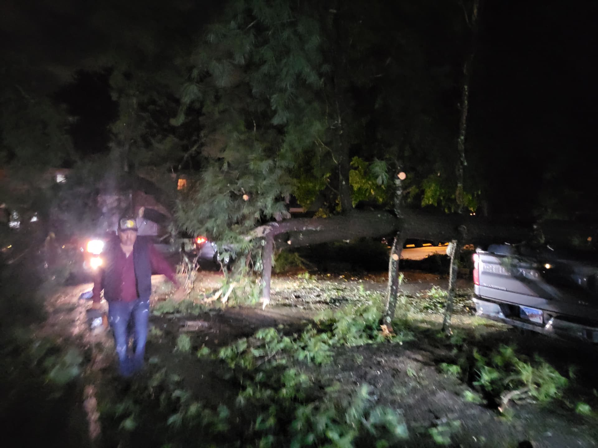 Later in the night, with the trunk cut back and the area opening up