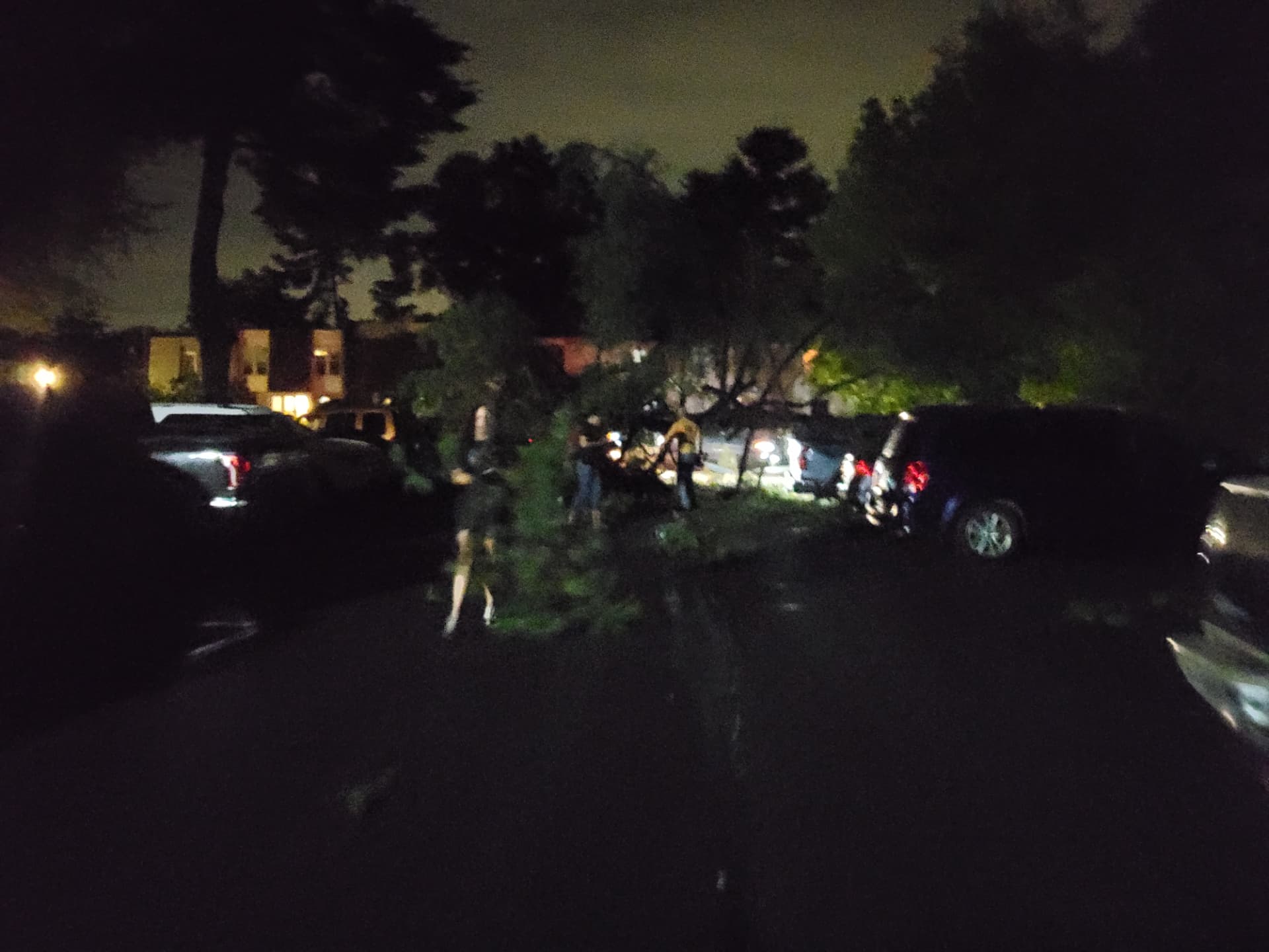 The parking area later in the cleanup
