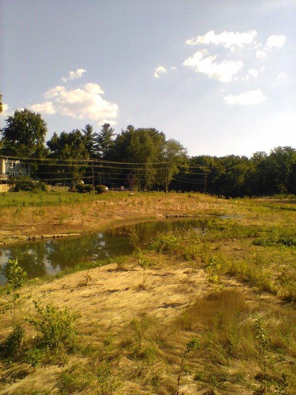 300 Block Shenandoah Creek Project, summer 2019 to summer 2020 — photo 5
