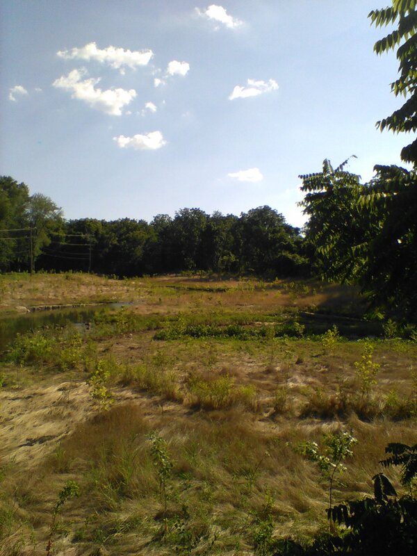 300 Block Shenandoah Creek Project, summer 2019 to summer 2020 — photo 6