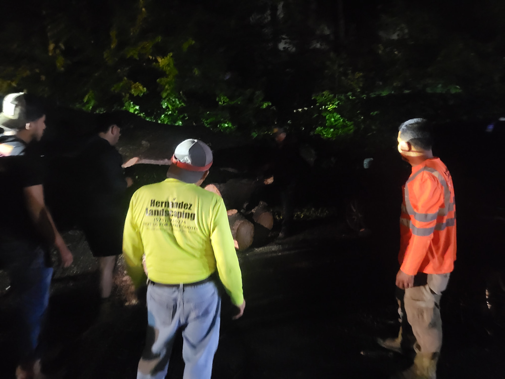 A group gathered around the larger trunk sections later in the cleanup