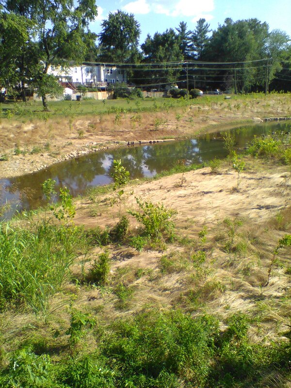 300 Block Shenandoah Creek Project, summer 2019 to summer 2020 — photo 4