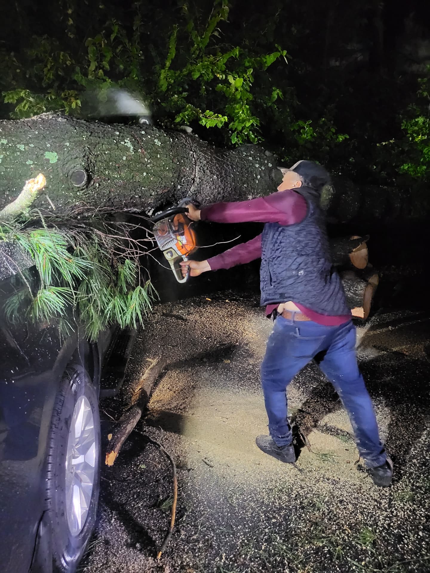 Cutting into the large trunk beside a parked vehicle