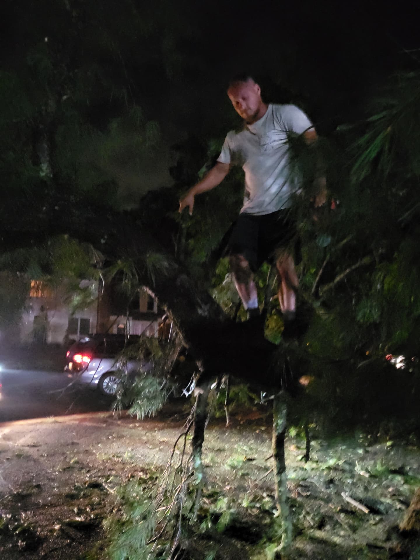 A neighbor working directly on the fallen tree