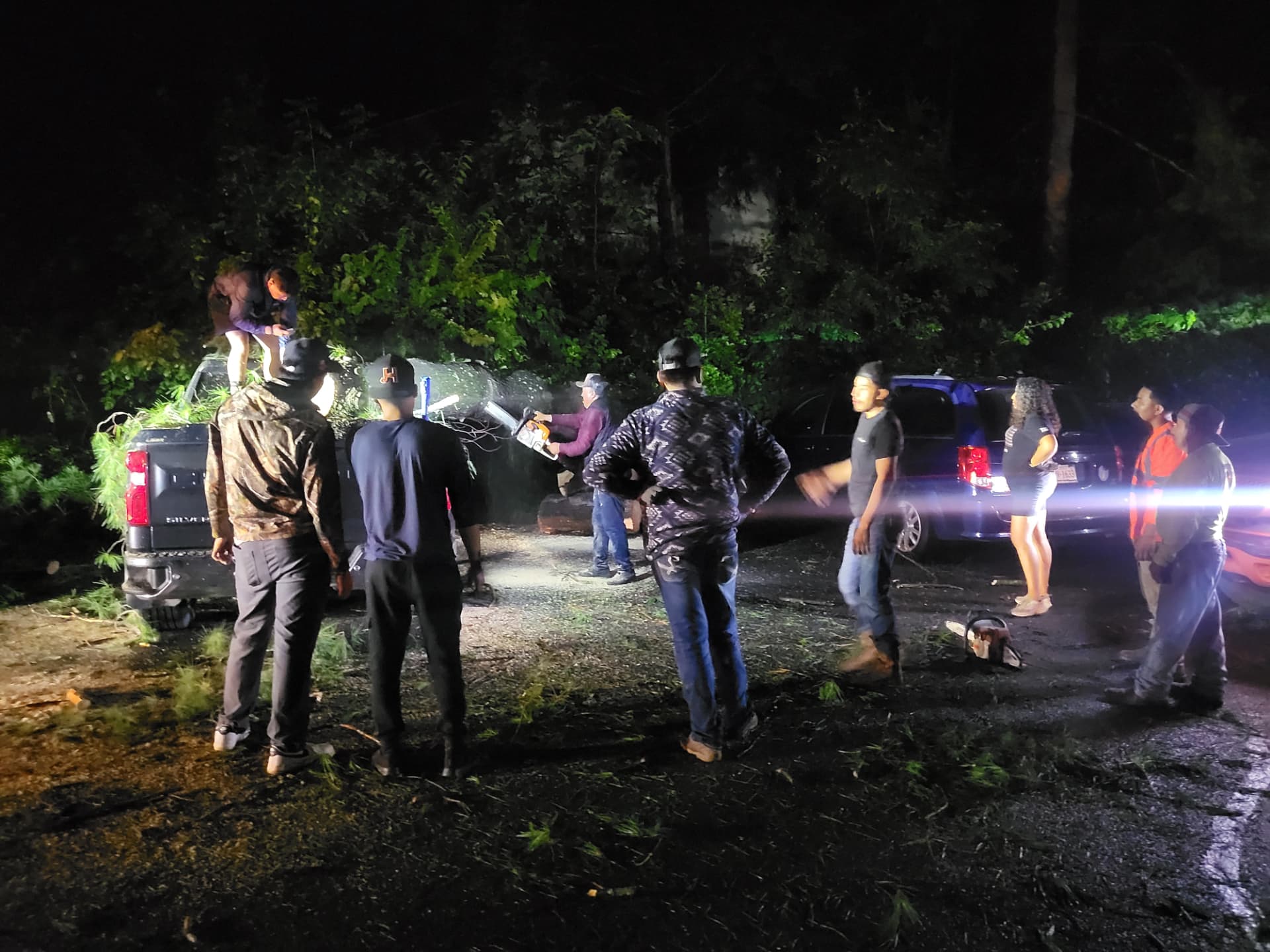 Virginia Knolls neighbors gathered around a fallen tree, working together to clear the parking area