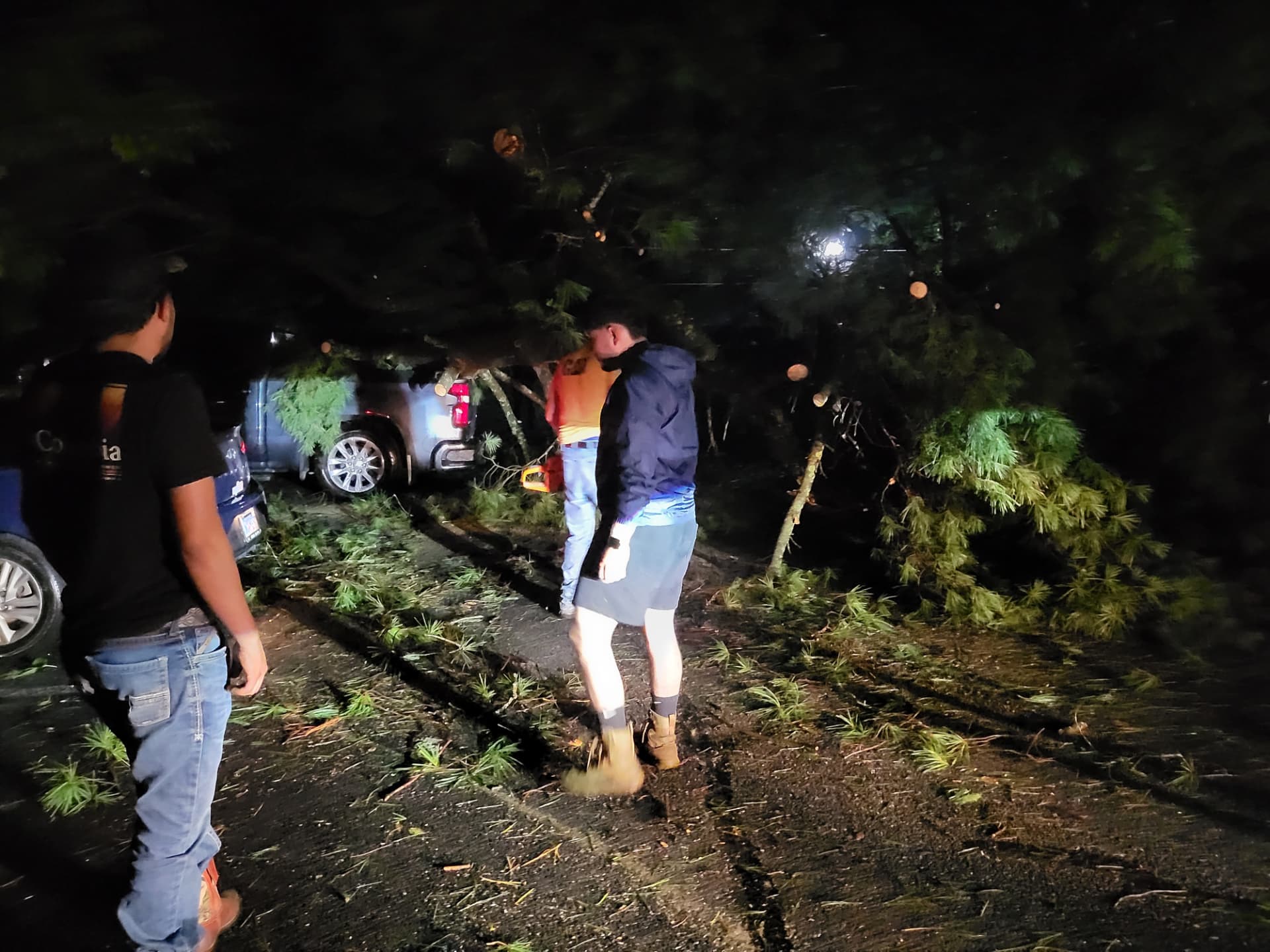 Neighbors clearing branches from around the vehicles